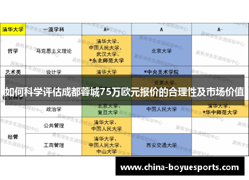 如何科学评估成都蓉城75万欧元报价的合理性及市场价值