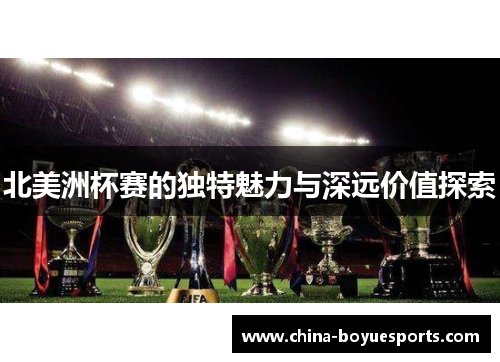 北美洲杯赛的独特魅力与深远价值探索