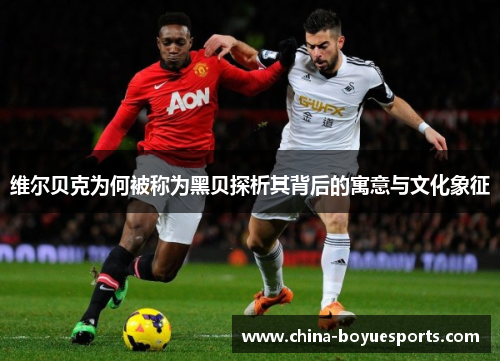 维尔贝克为何被称为黑贝探析其背后的寓意与文化象征