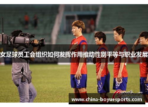 女足球员工会组织如何发挥作用推动性别平等与职业发展