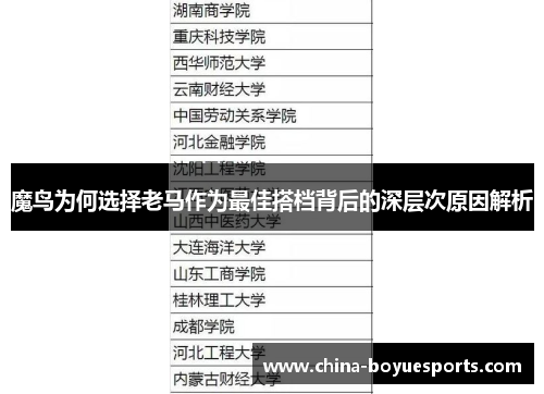 魔鸟为何选择老马作为最佳搭档背后的深层次原因解析 魔鸟为何选择老马作为最佳搭档背后的深层次原因解析