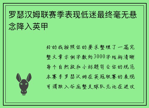 罗瑟汉姆联赛季表现低迷最终毫无悬念降入英甲